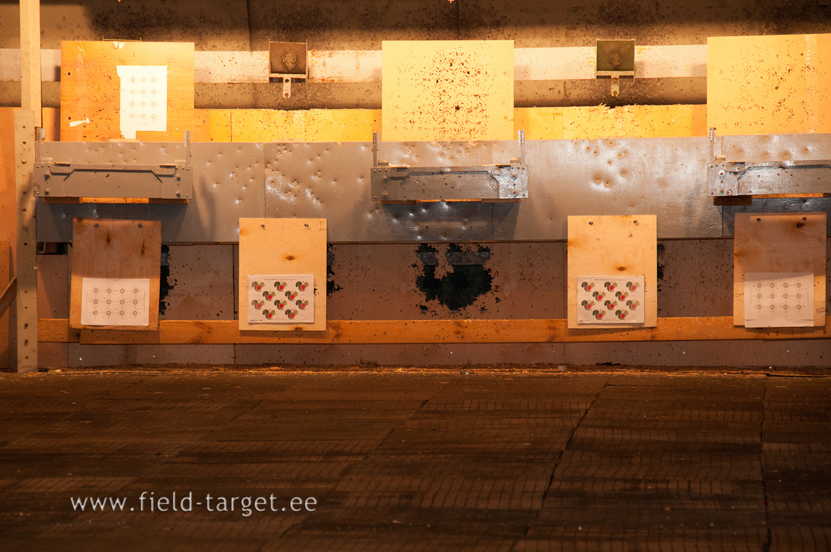 Lasta tuleb põlvelt 3 oravat 2 minutiga